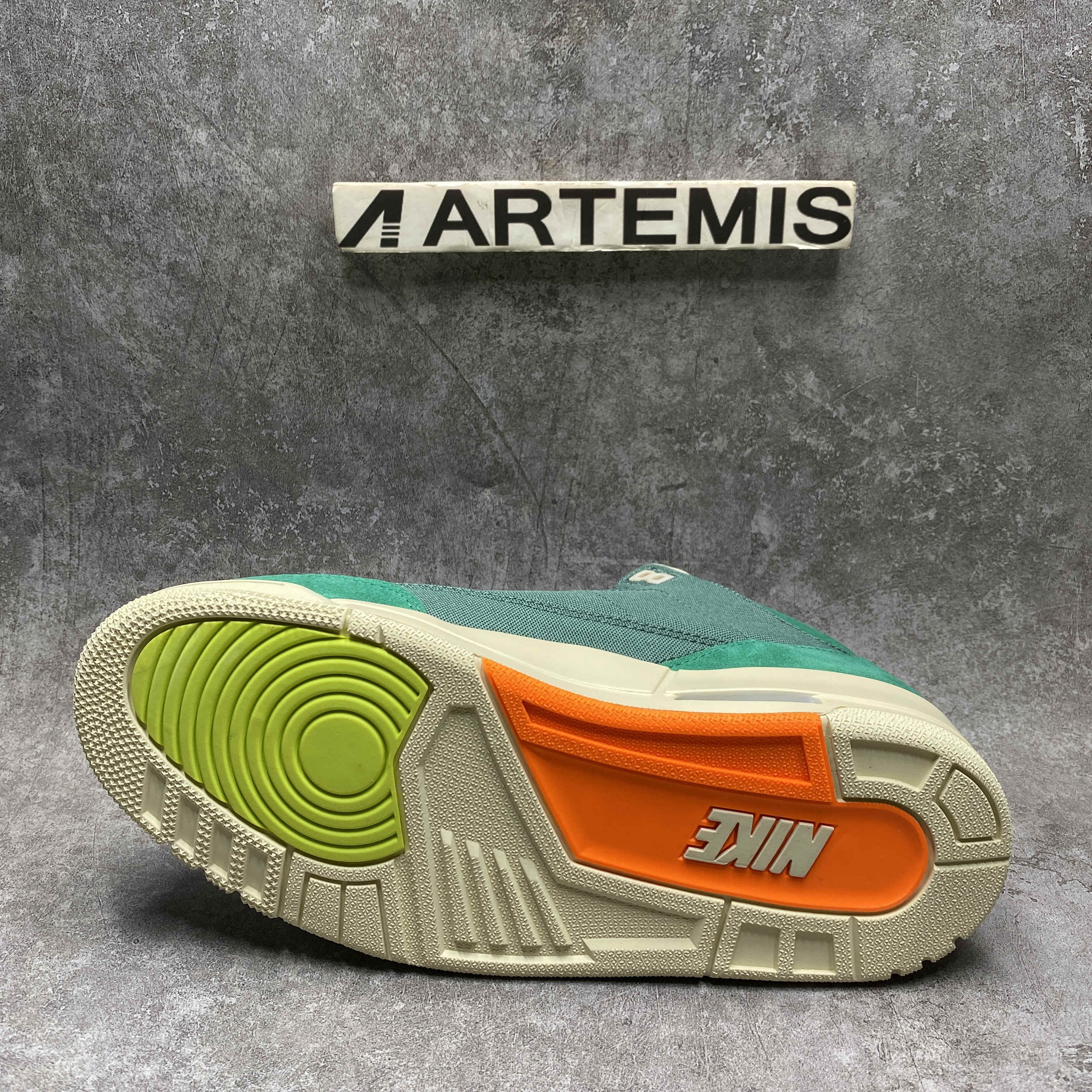 ua nina Ch*el abney x air jordan 3