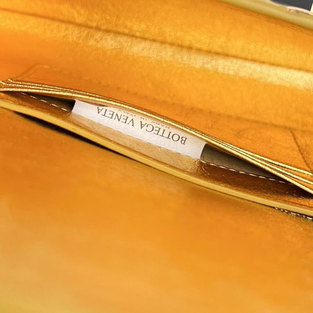 bo*te*ga Ve*ne*ta long clutch andiamo with handle