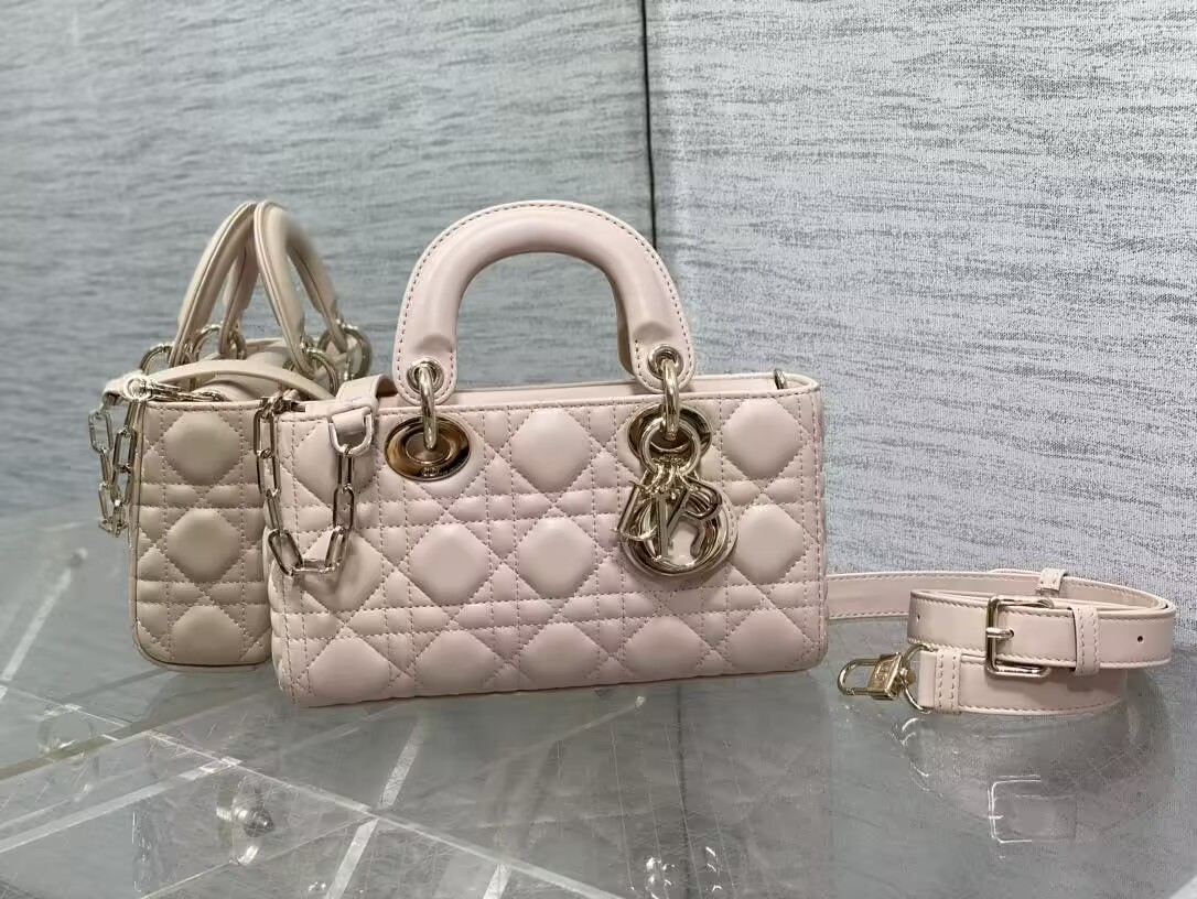 Dior Small Lady D-Joy Bag 22x6x12cm