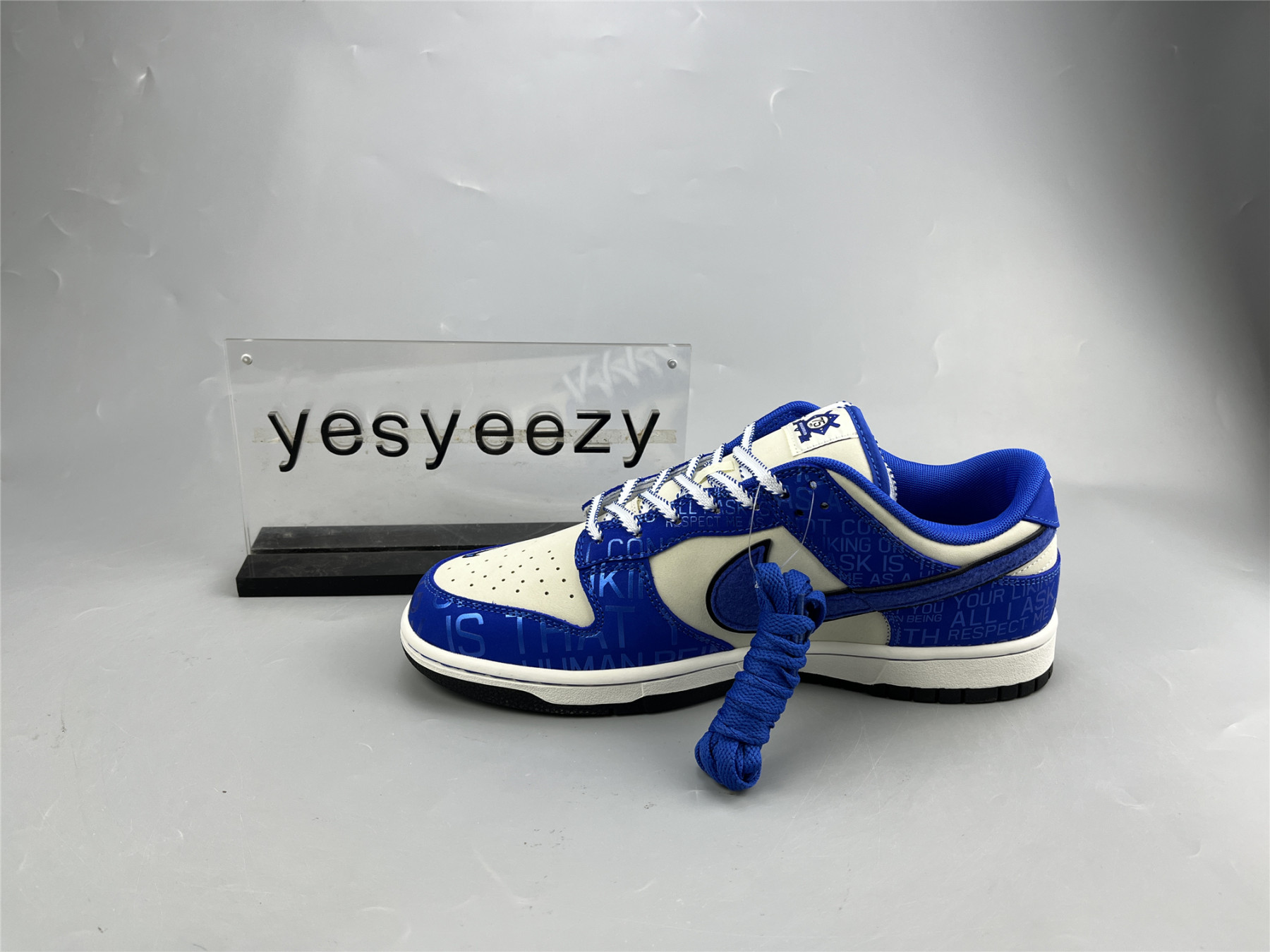 UA NIKE DUNK LOW GS