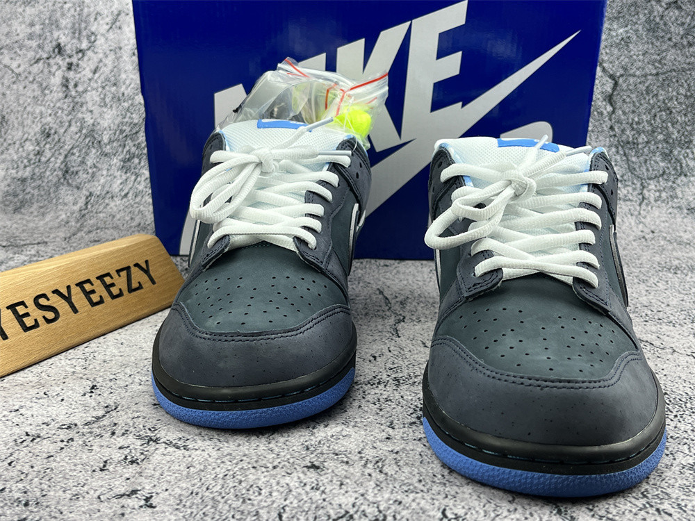 ua nike dunk low preM1vm sb