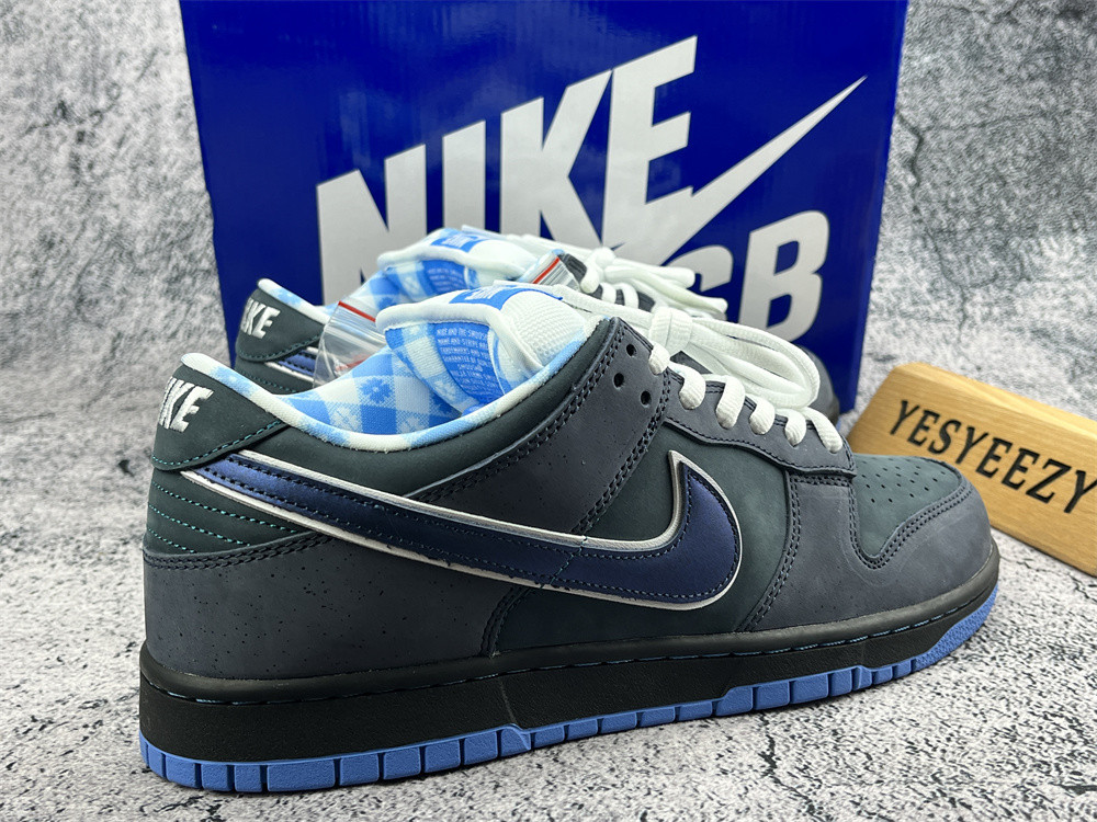 ua nike dunk low preM1vm sb