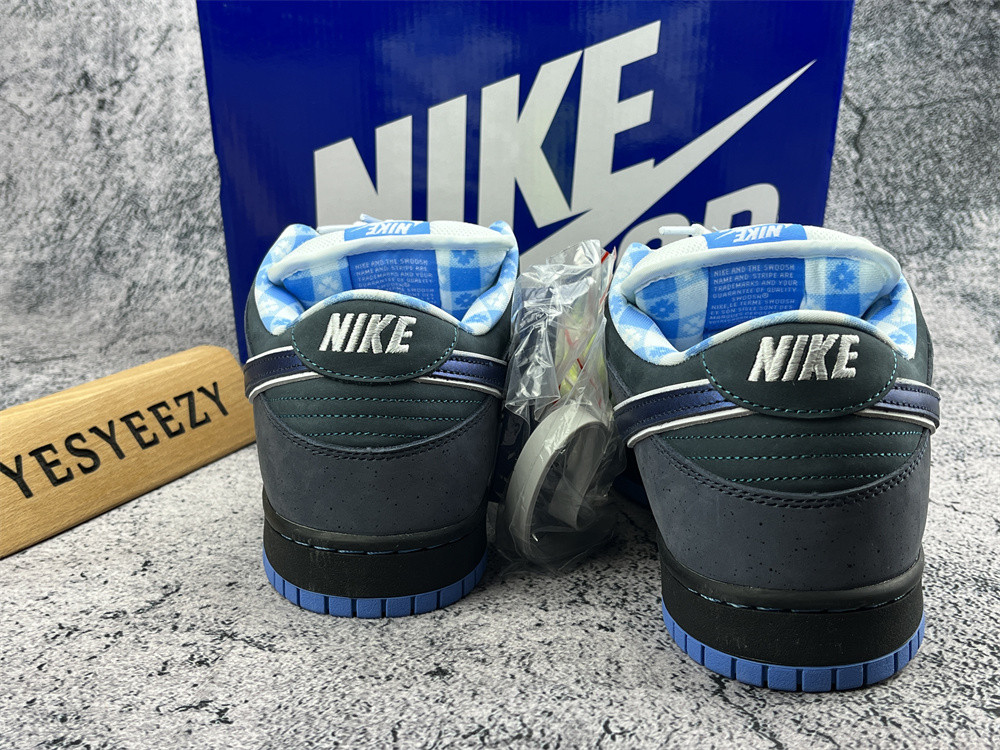 ua nike dunk low preM1vm sb