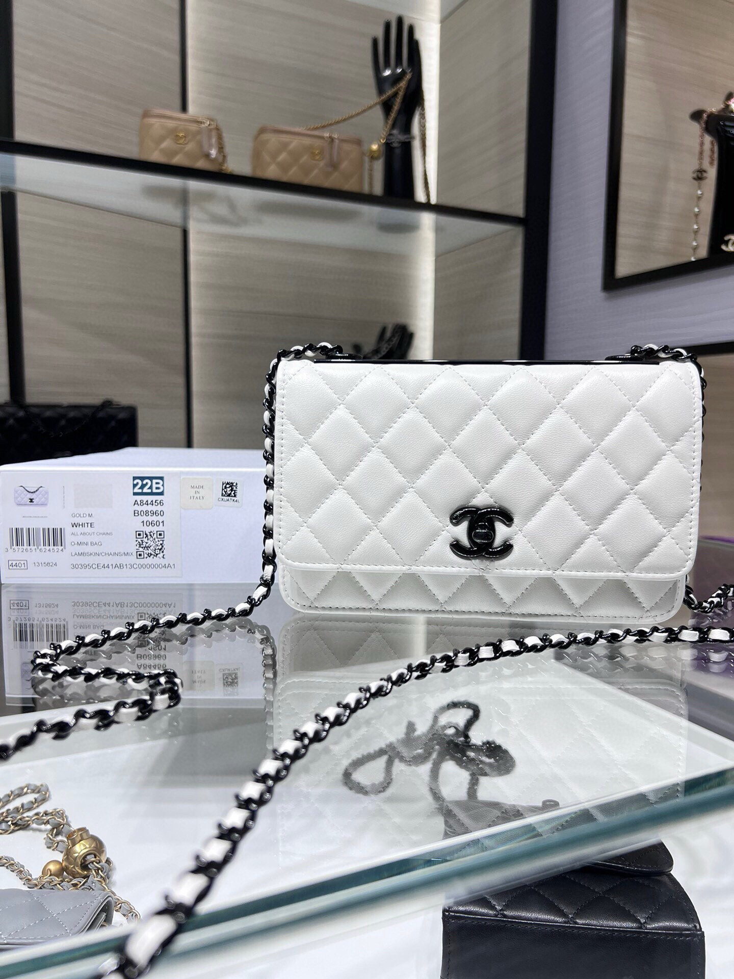 Chanel WOC Trendy CC Wallet On Chain 19x12x3.5cm