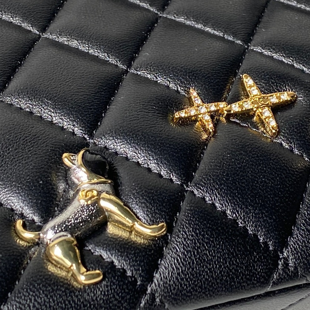 Chanel Classic Flap Bag A01112 15x25x6cm