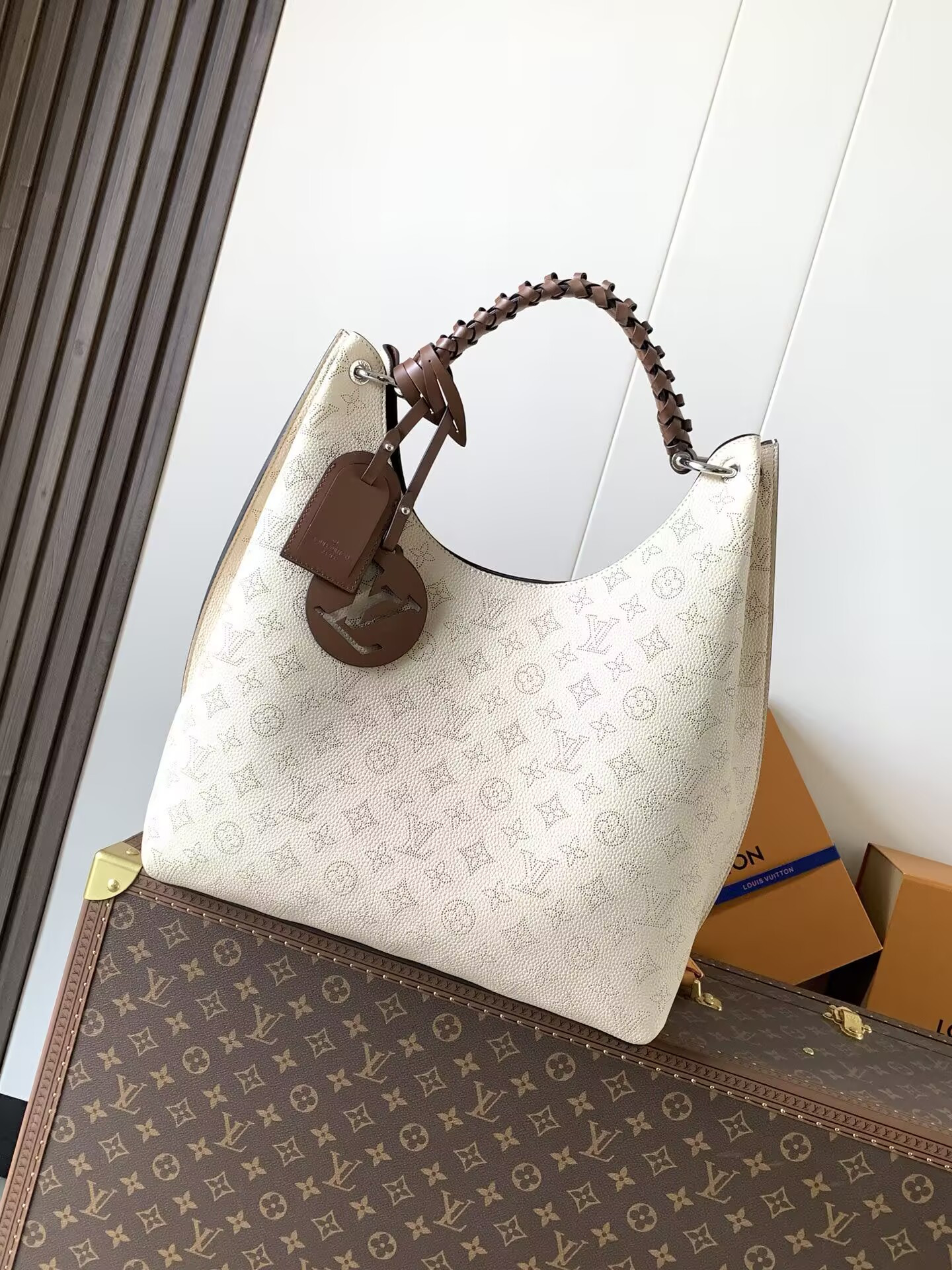 LV Carmel Hobo M53188 35x40x17cm