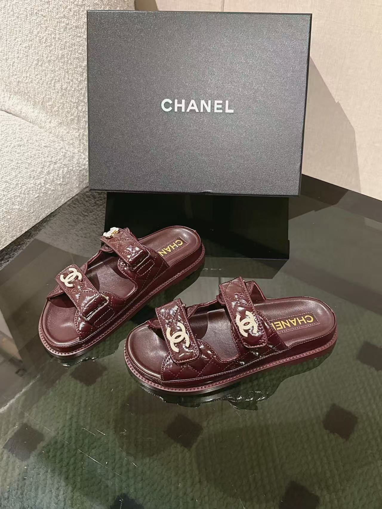 UA Ch**el SLIDES