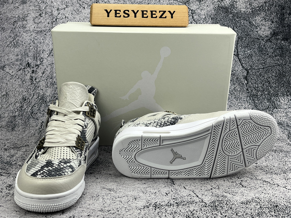 ua air jordan 4 retro preM1vm 