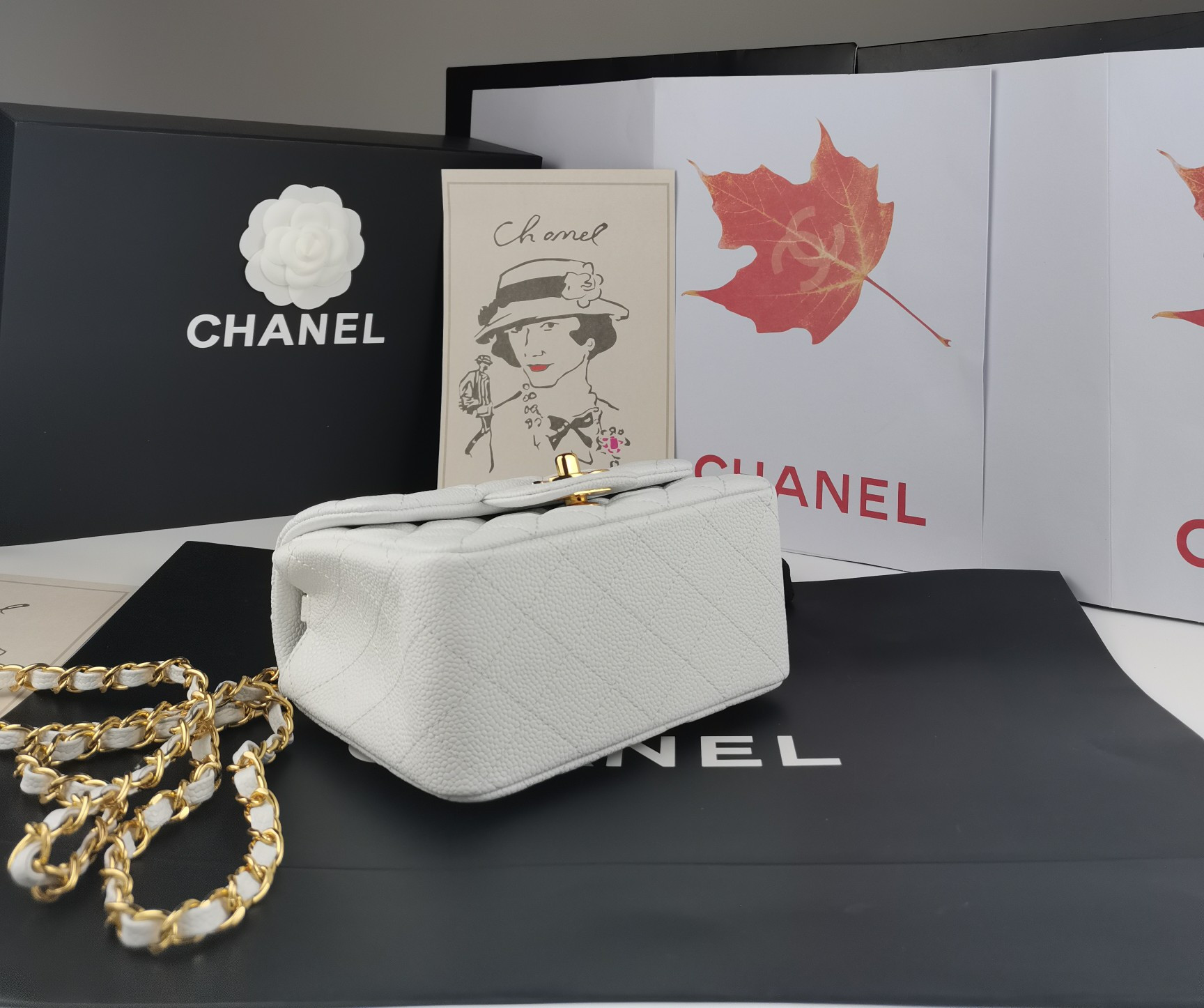 Chanel Mini Flap Bag 17.5cm
