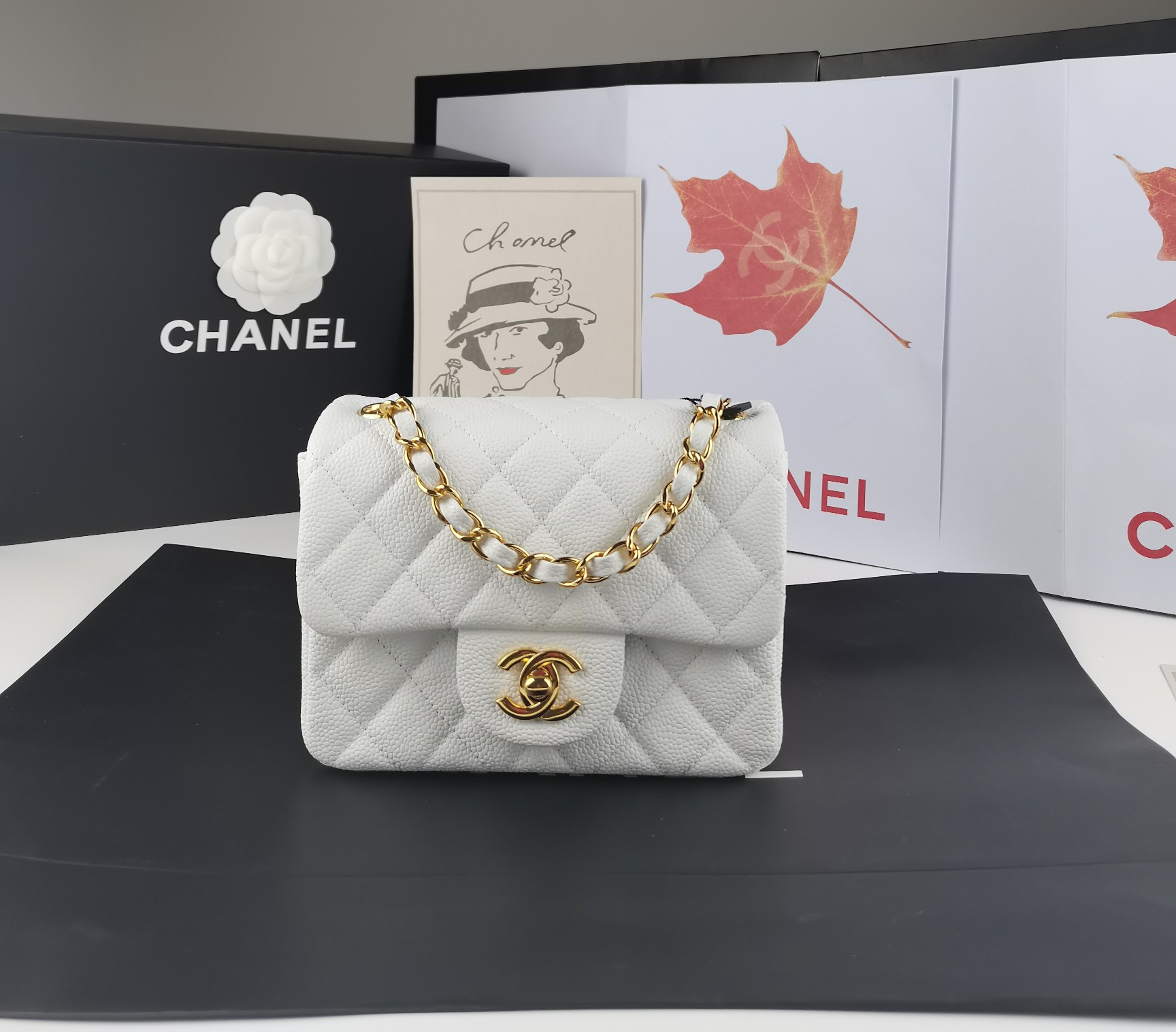 Chanel Mini Flap Bag 17.5cm
