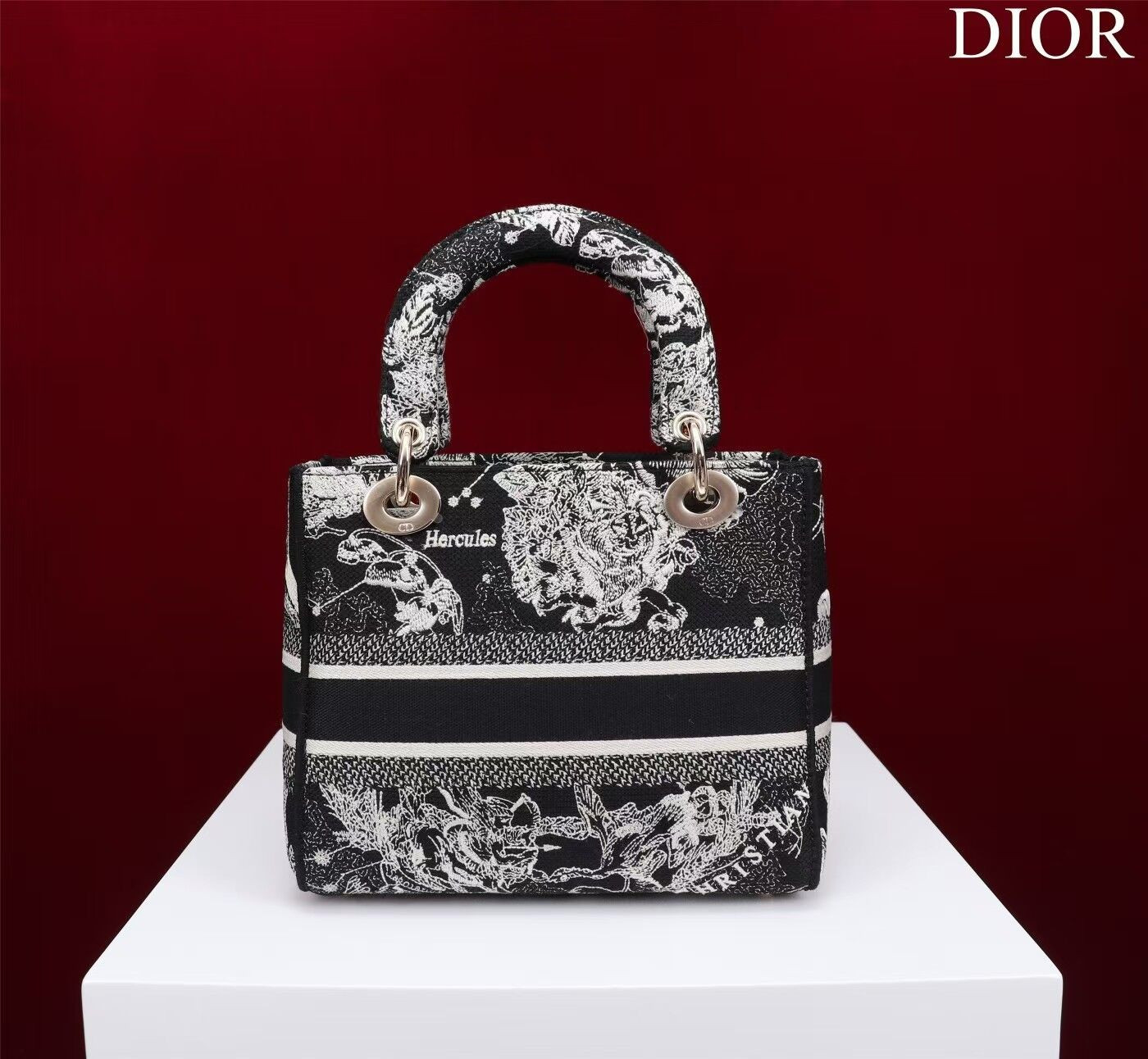 MEDIUM D10r LADY D-LITE BAG 24 x 20 x 11 cm
