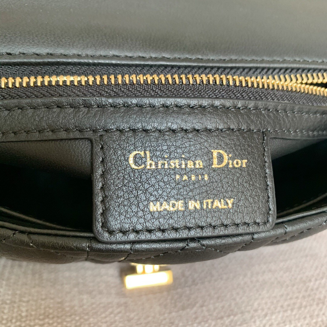 Small D10r CARO BAG