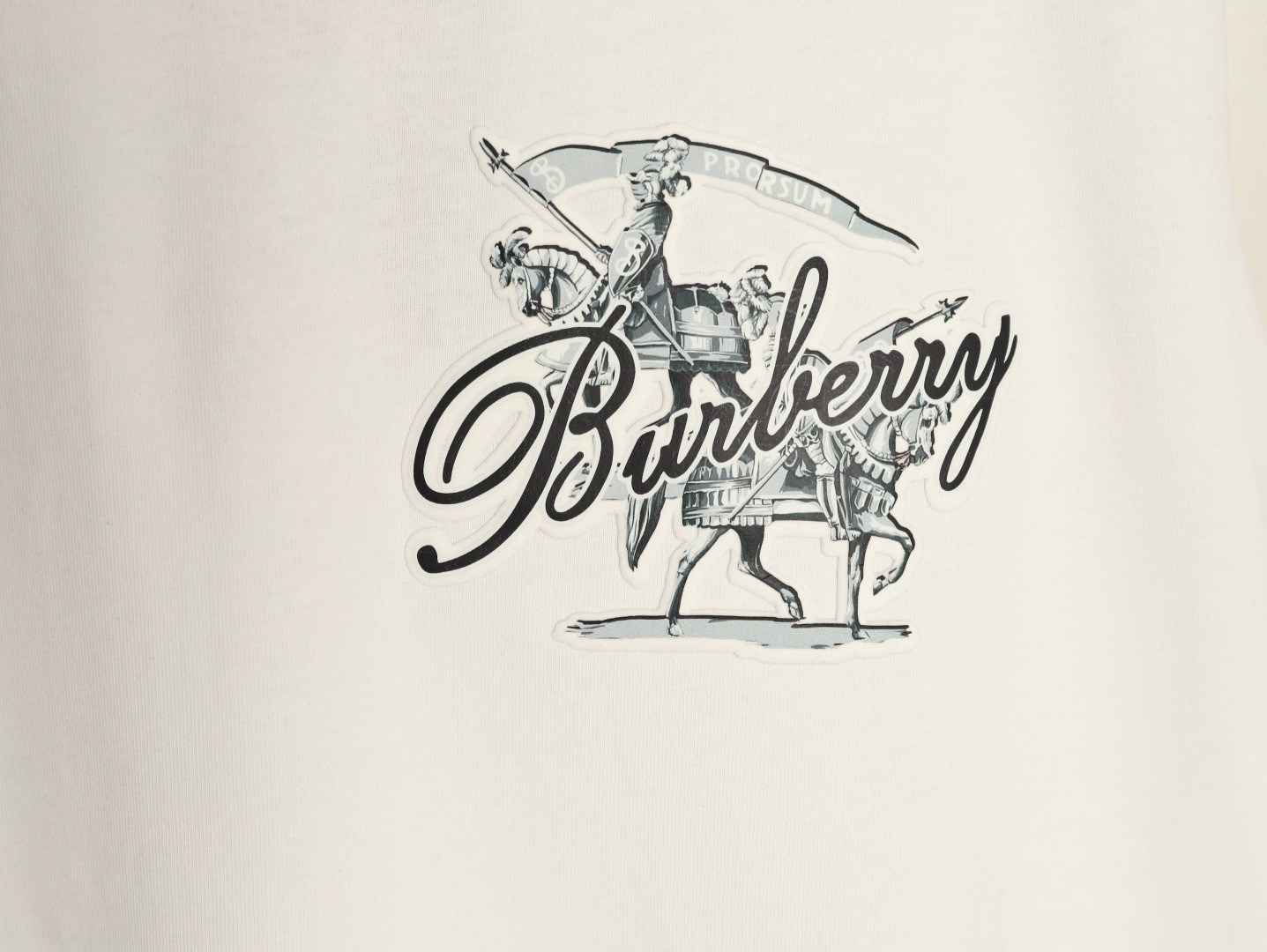 Bv*b*rry 26ss short-sleeved t-shirt