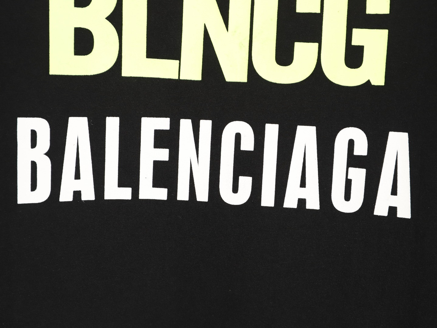 Ba1en*iaga short-sleeved t-shirt