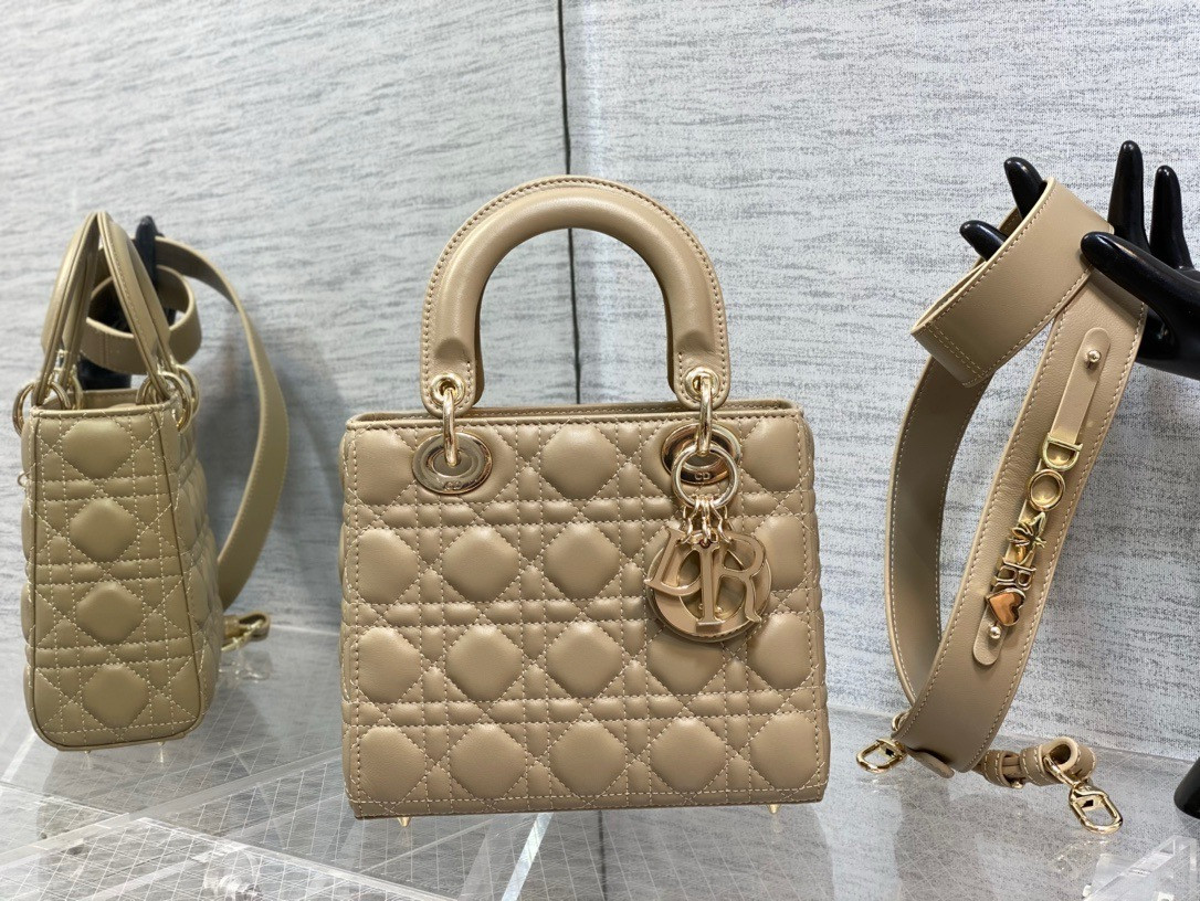 Medium Lady D10r Bag 24 x 20 x 12 cm