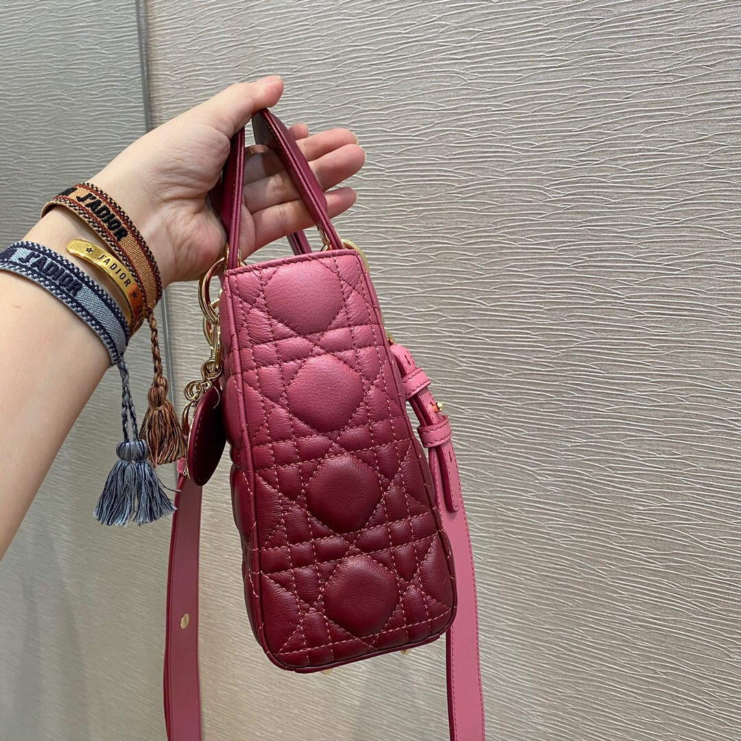 Small Lady D10r Bag 8 x 6.5 x 3 inches