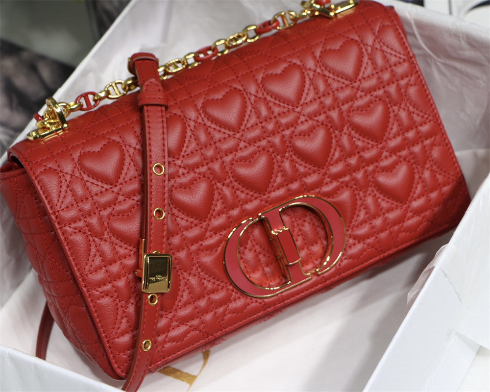 MEDIUM D10r CARO BAG amour red 25.5 x 15.5 x 8 cm