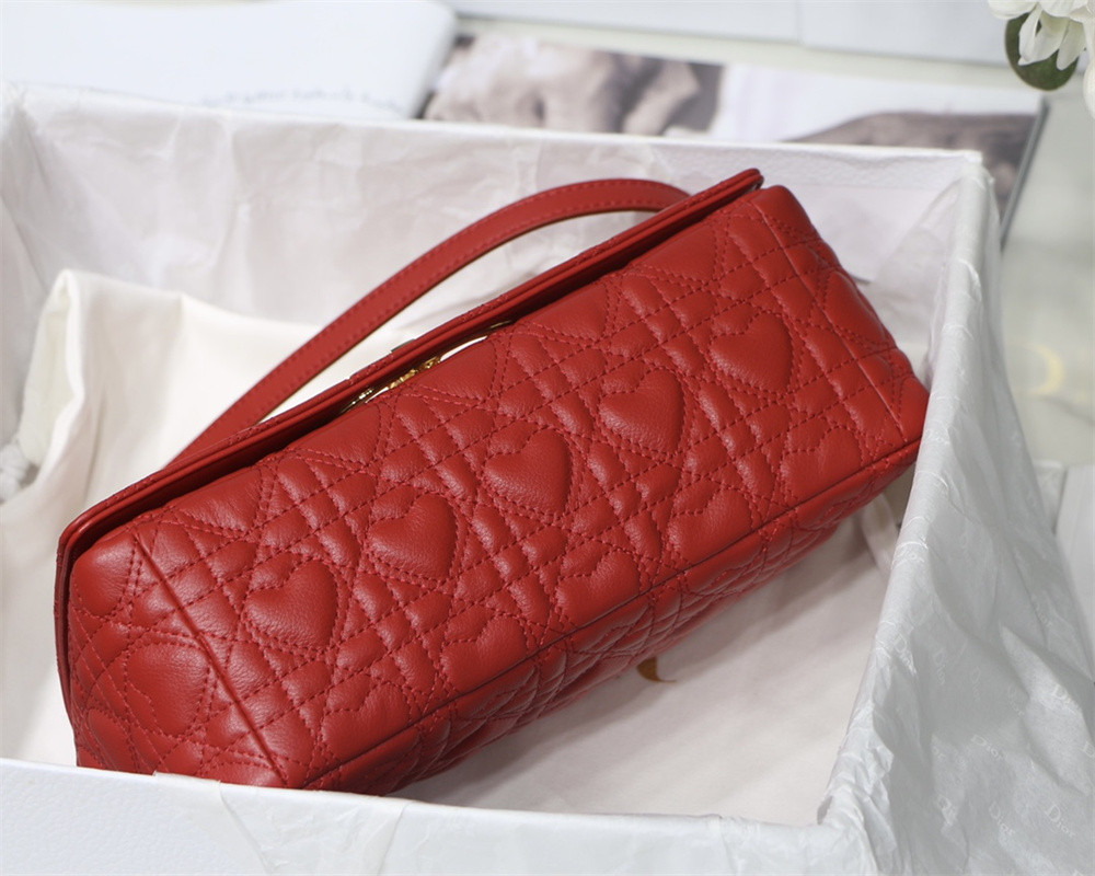 MEDIUM D10r CARO BAG amour red 25.5 x 15.5 x 8 cm