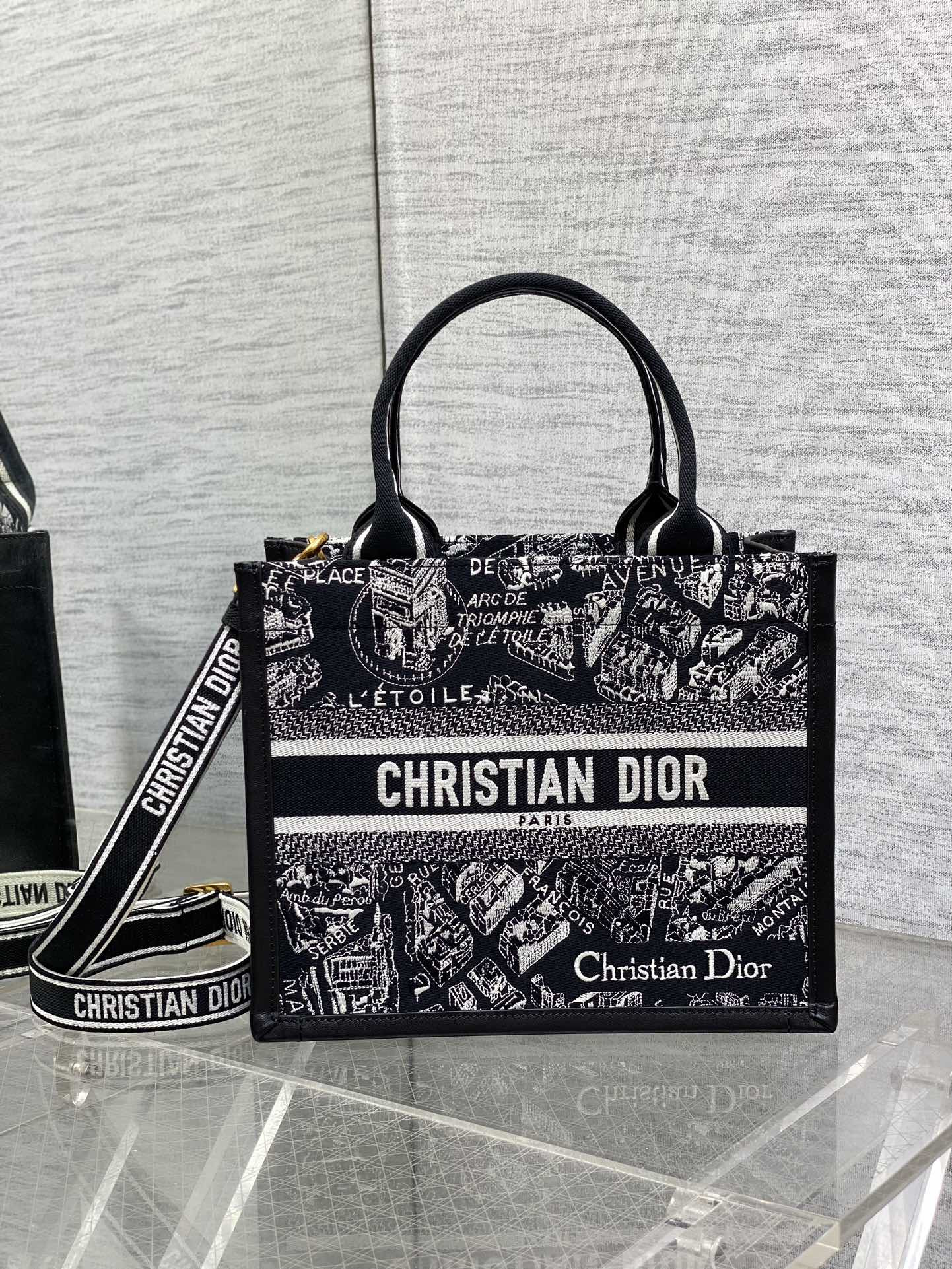 D10r Small D10r Book Tote White and Black Plan de Paris Embroidery and Black Calfskin 26.5 x 21 x 14 cm