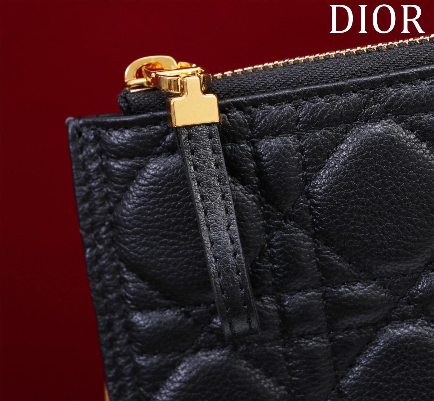 Large D10r Caro Daily Pouch 30 x 21.5 cm