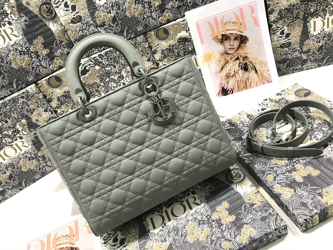 D10r Lady Bag 32 x 25 x 11cm