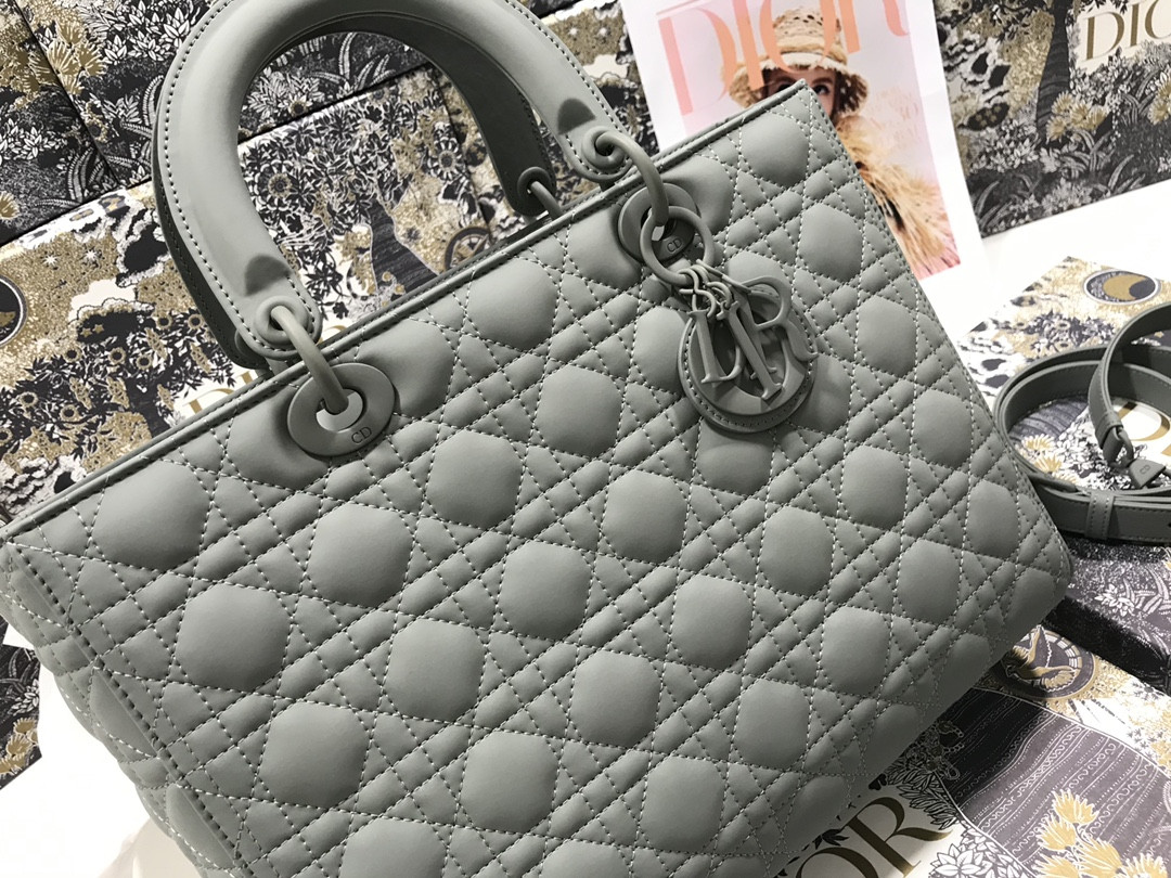 D10r Lady Bag 32 x 25 x 11cm