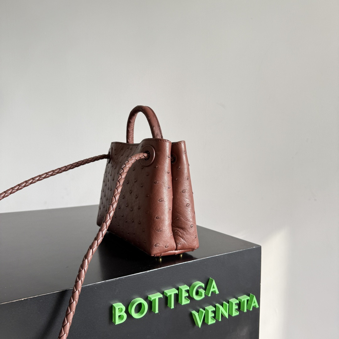 Bottega Veneta Mini Andiamo 15x20.5x7.5cm