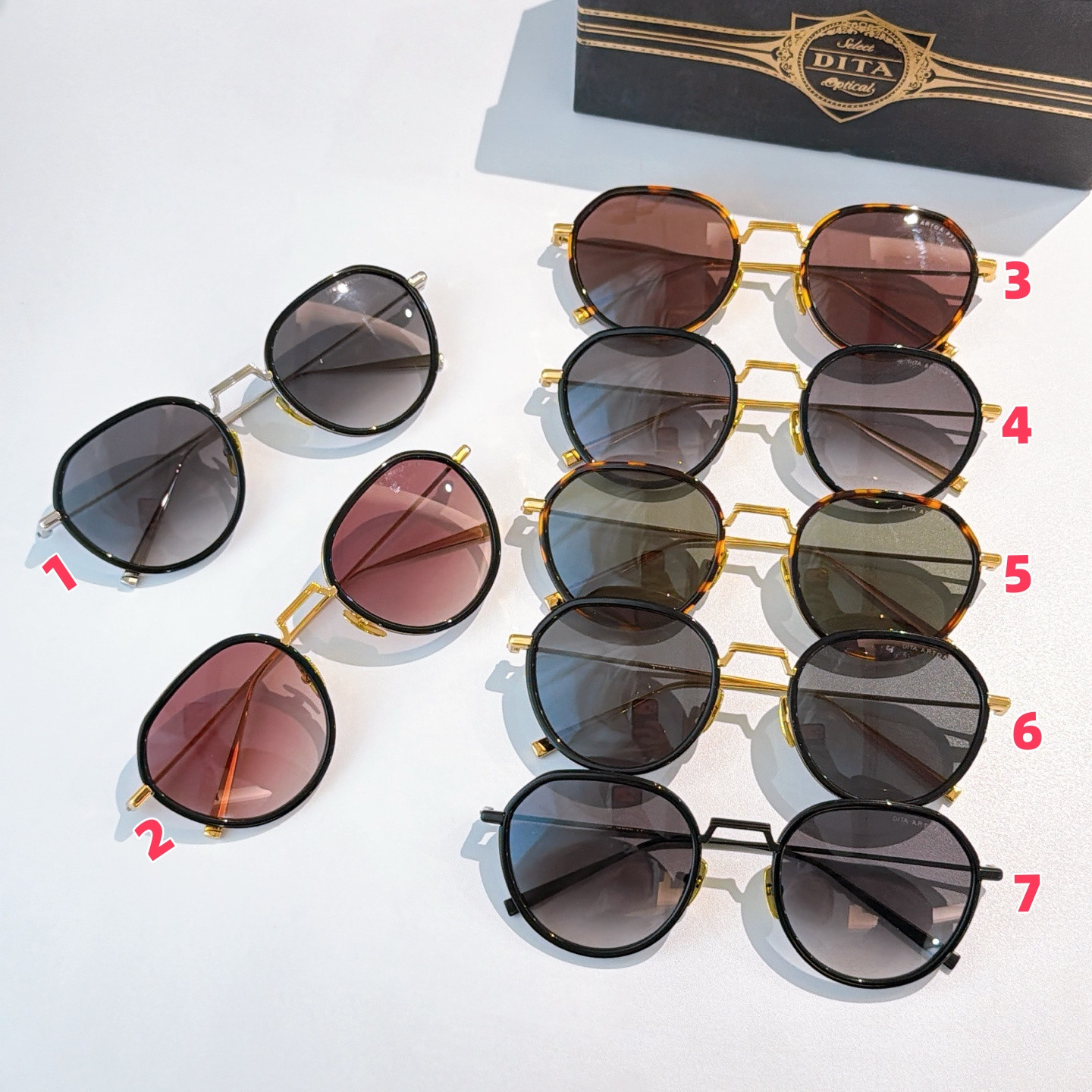DITA Glasses DTS475 45-24-145