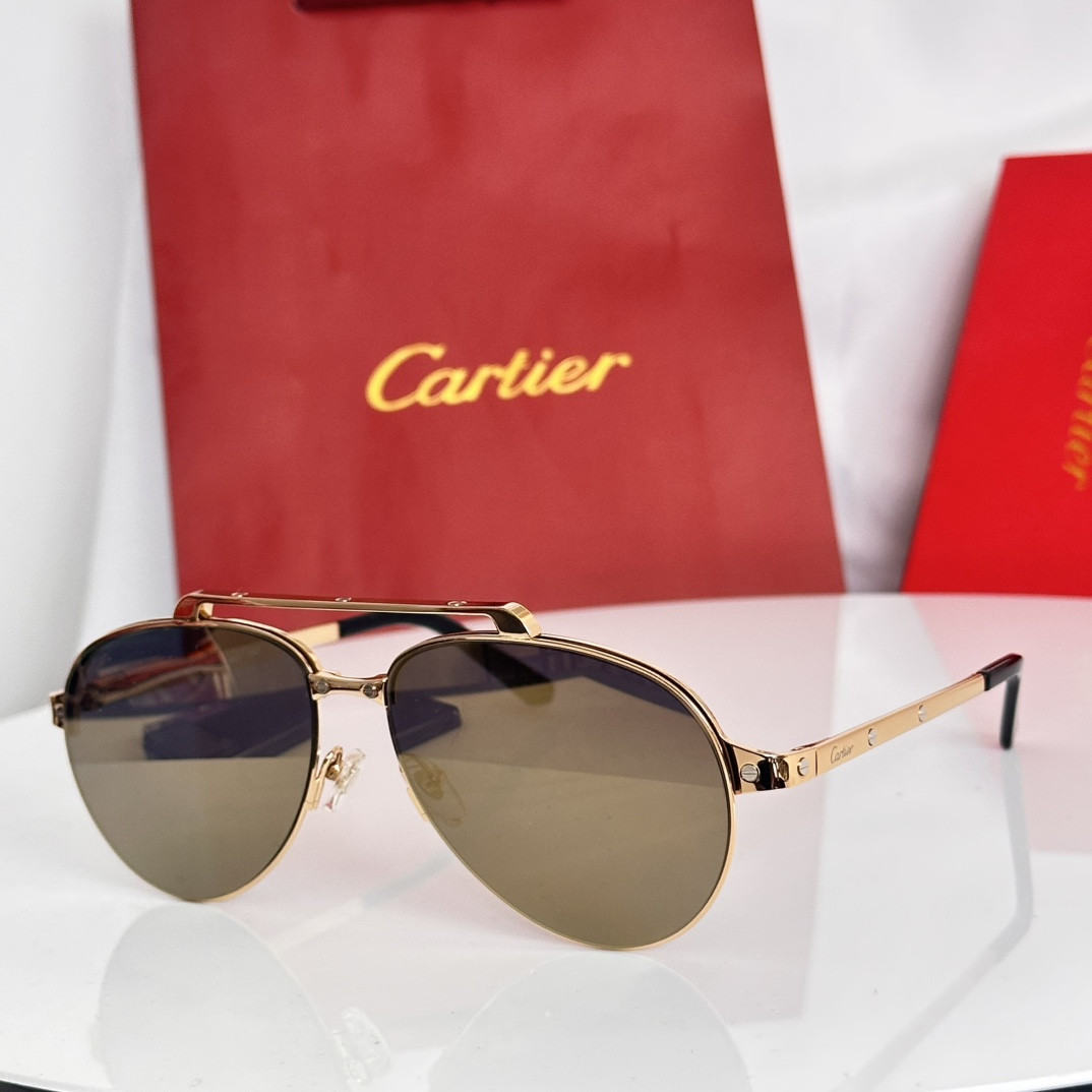 Ca*t1er glasses ct0354s 145