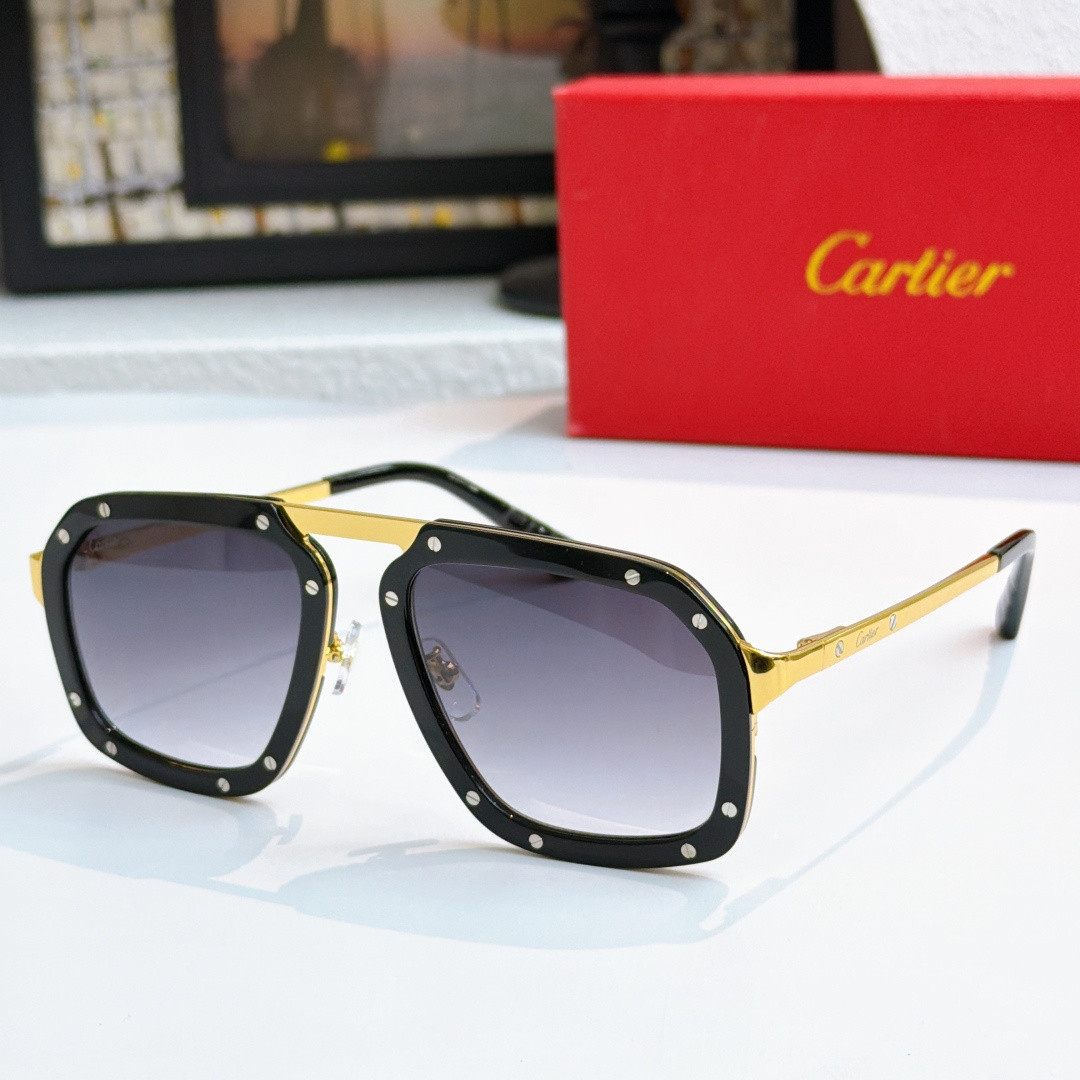 Ca*t1er glasses ct0573s 55-20-145