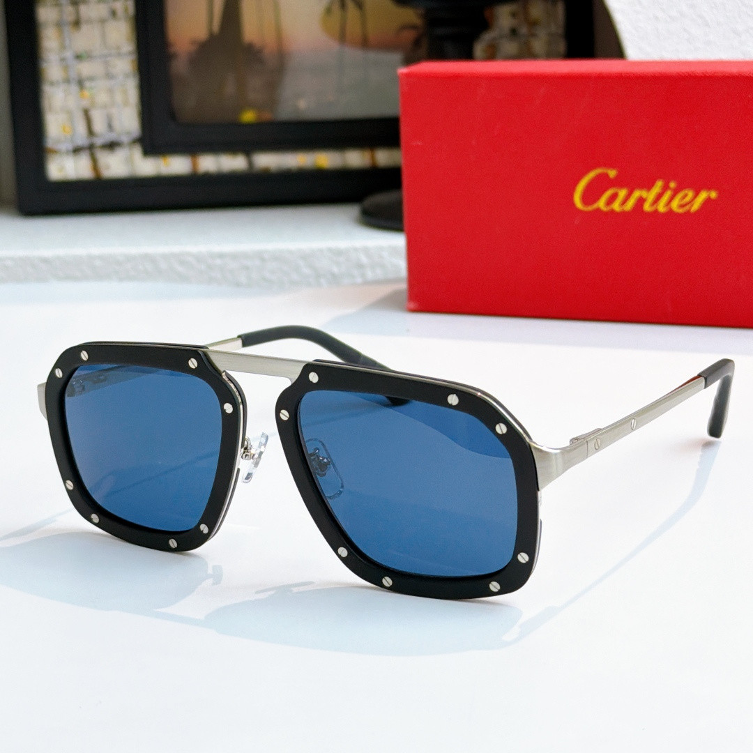 Ca*t1er glasses ct0573s 55-20-145