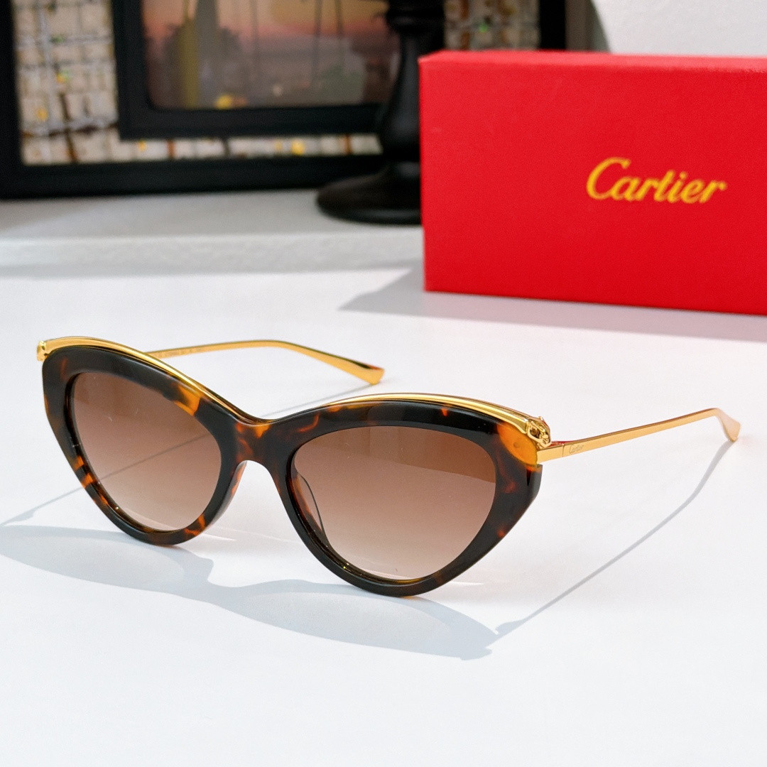 Ca*t1er glasses ct0596s 140