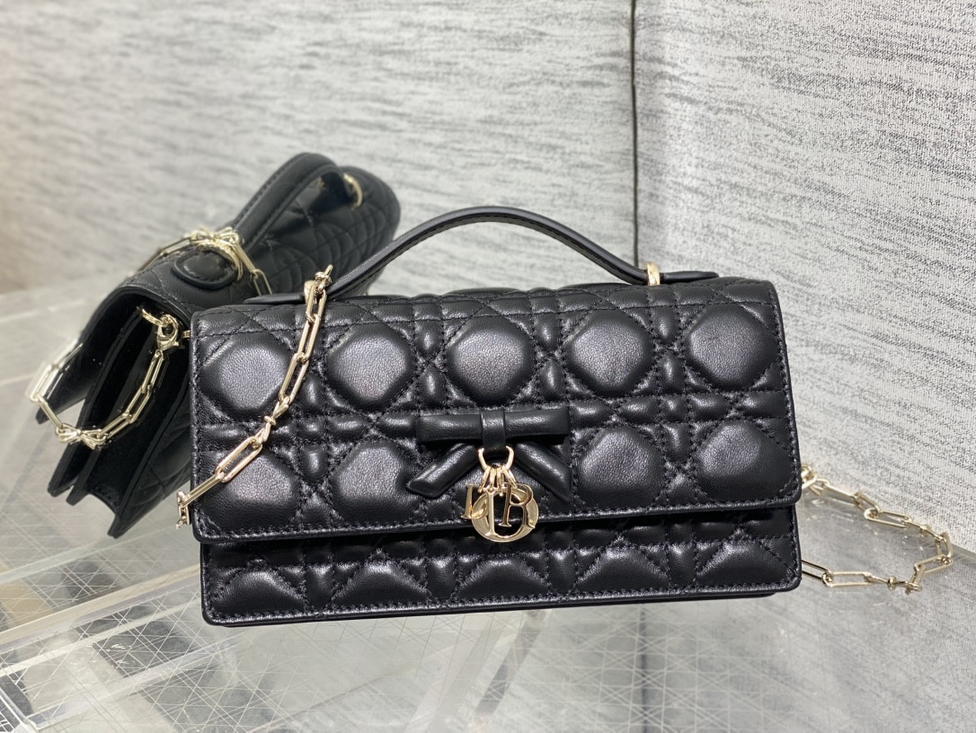 My Dior Mini Bag 21x11.5x4.5cm