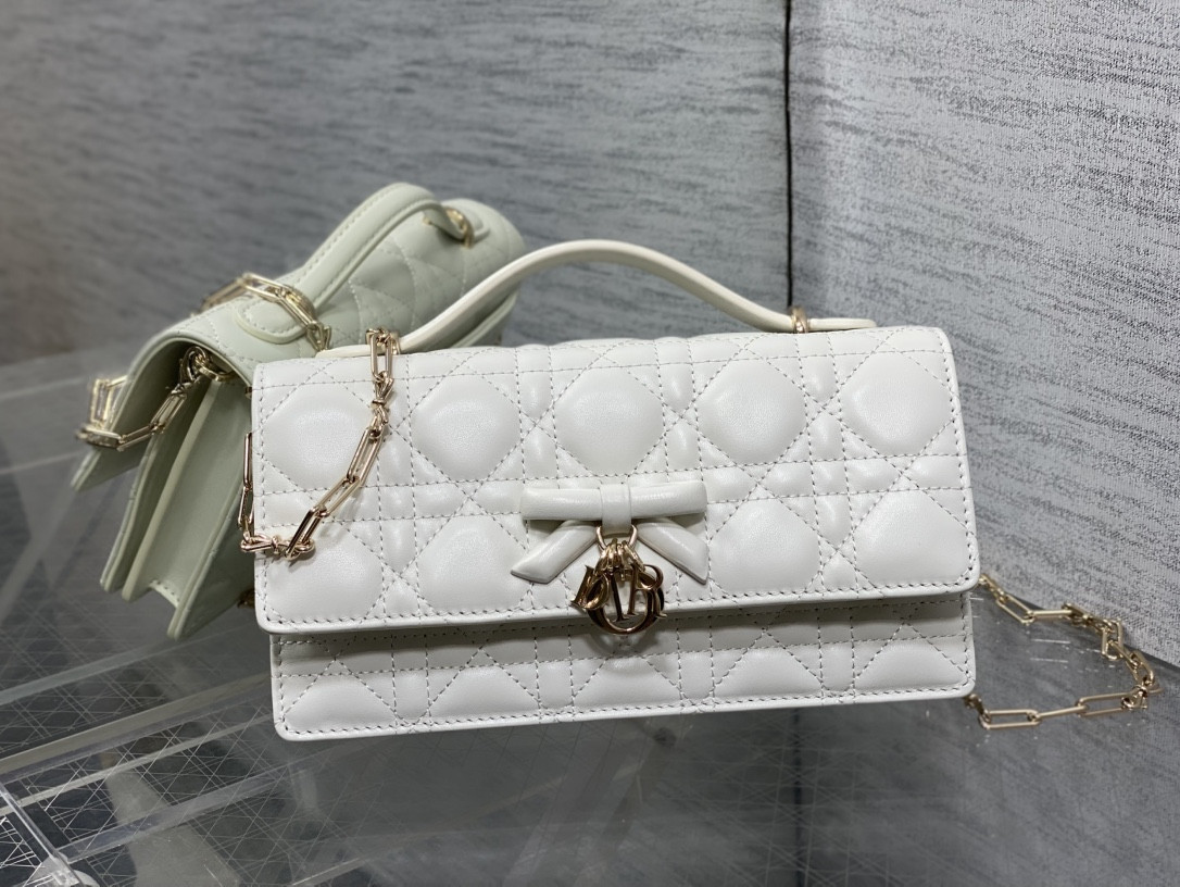 My Dior Mini Bag 21x11.5x4.5cm