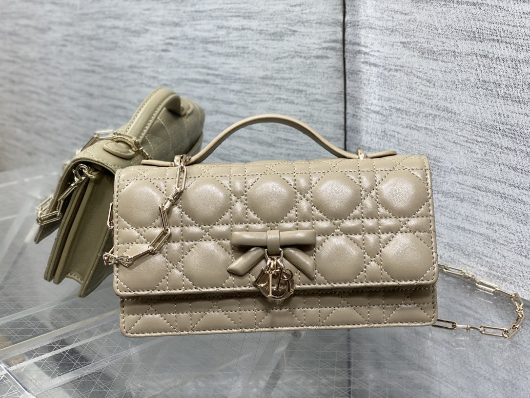 My Dior Mini Bag 21x11.5x4.5cm