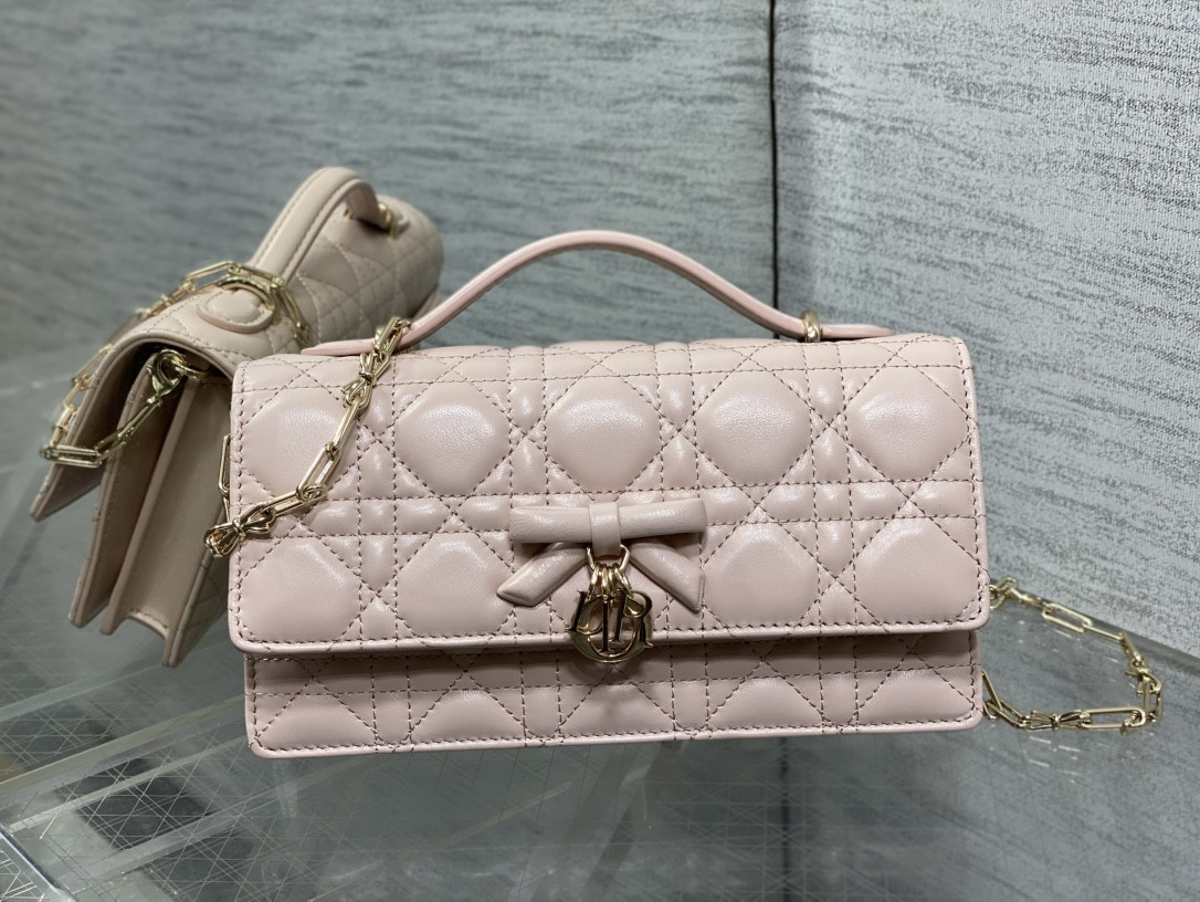 My Dior Mini Bag 21x11.5x4.5cm