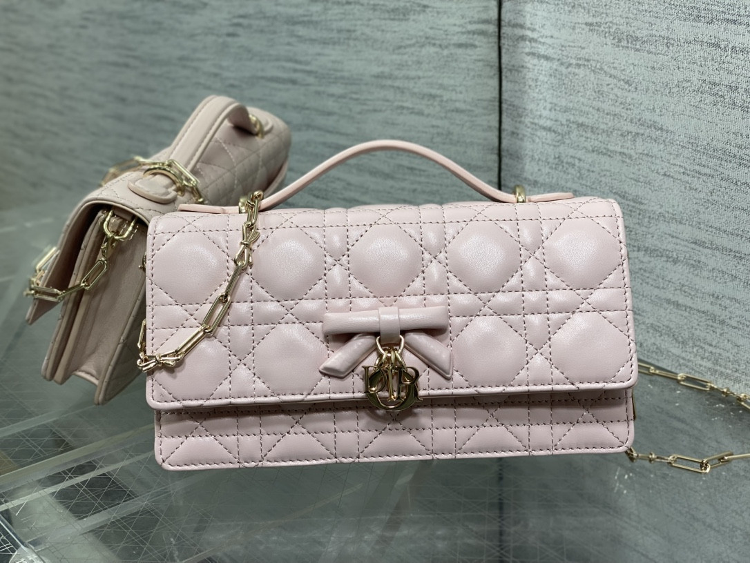 My Dior Mini Bag 21x11.5x4.5cm