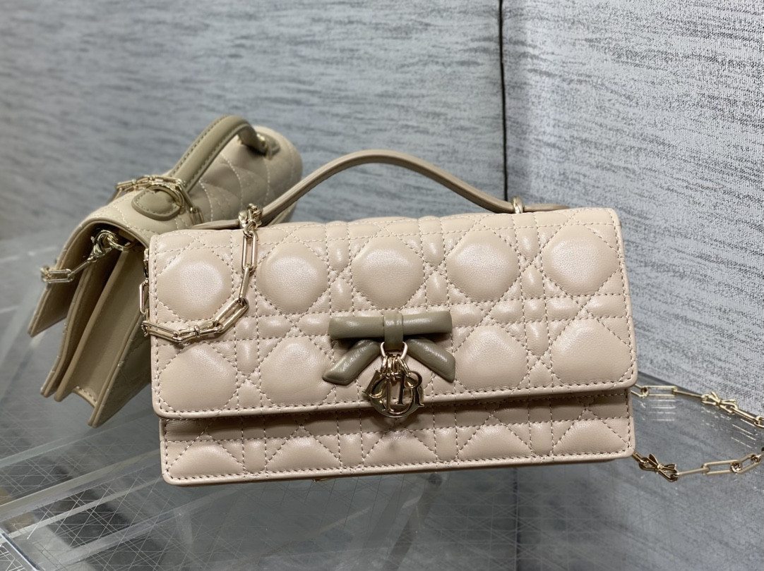 My Dior Mini Bag 21x11.5x4.5cm