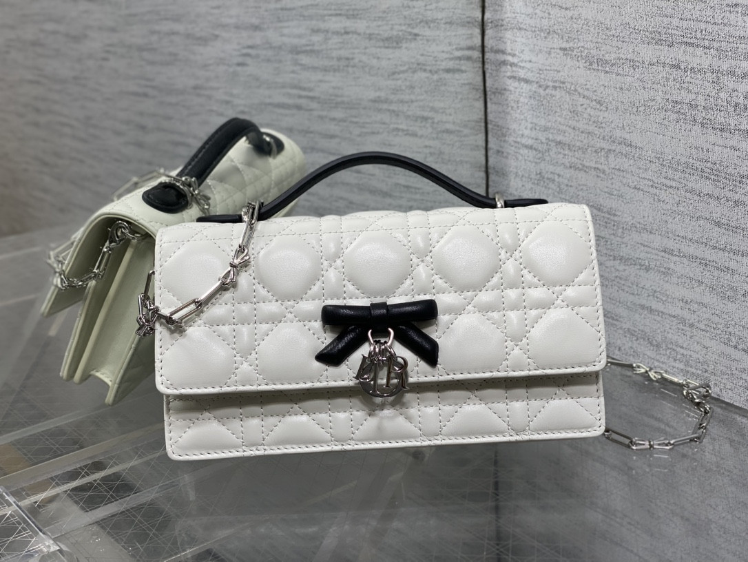 My Dior Mini Bag 21x11.5x4.5cm