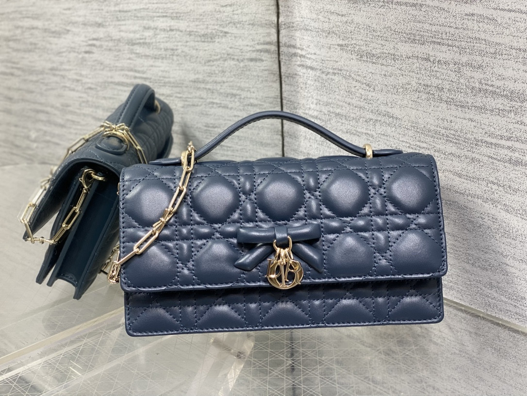 My Dior Mini Bag 21x11.5x4.5cm