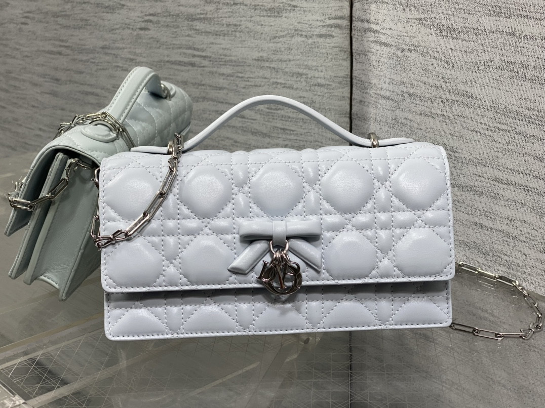 My Dior Mini Bag 21x11.5x4.5cm