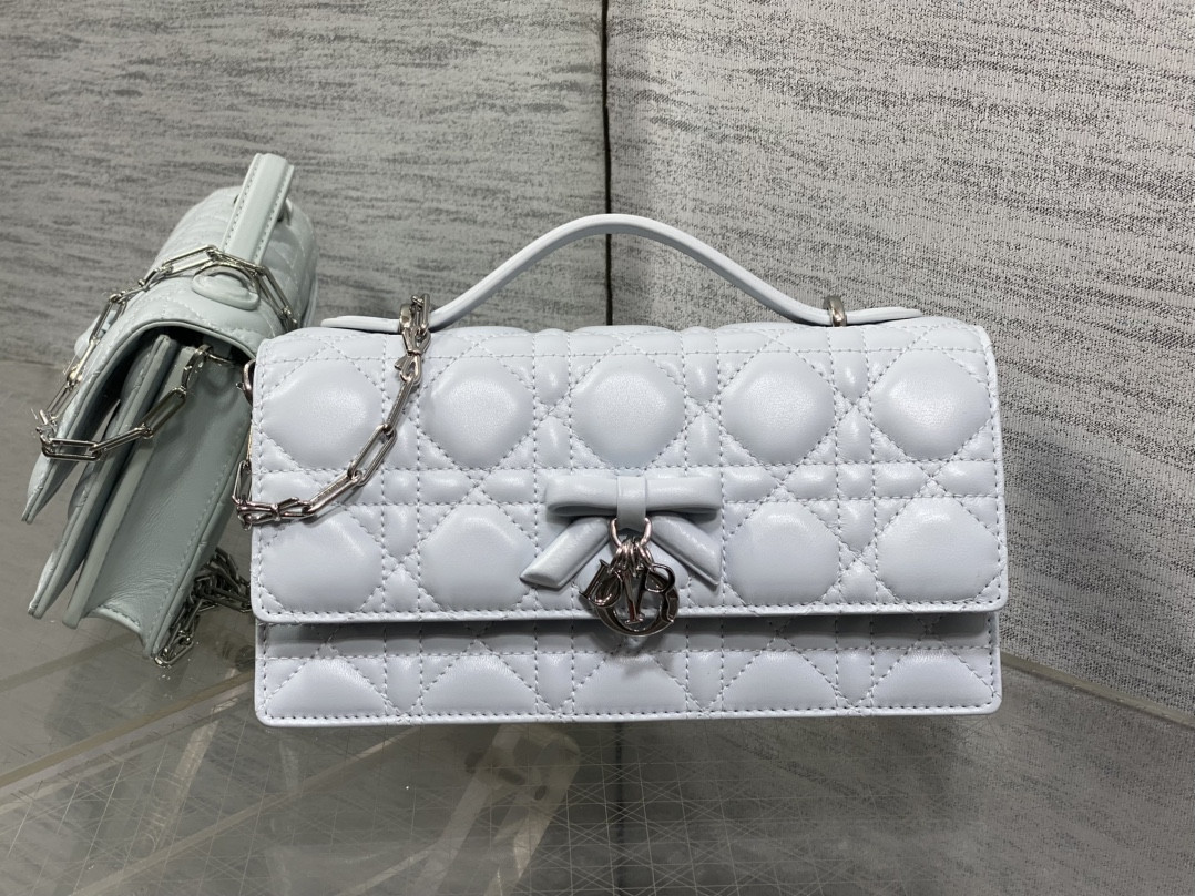 My Dior Mini Bag 21x11.5x4.5cm