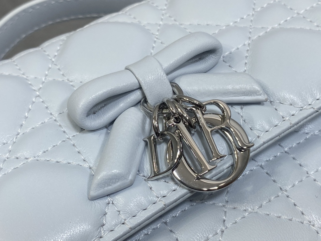 My Dior Mini Bag 21x11.5x4.5cm