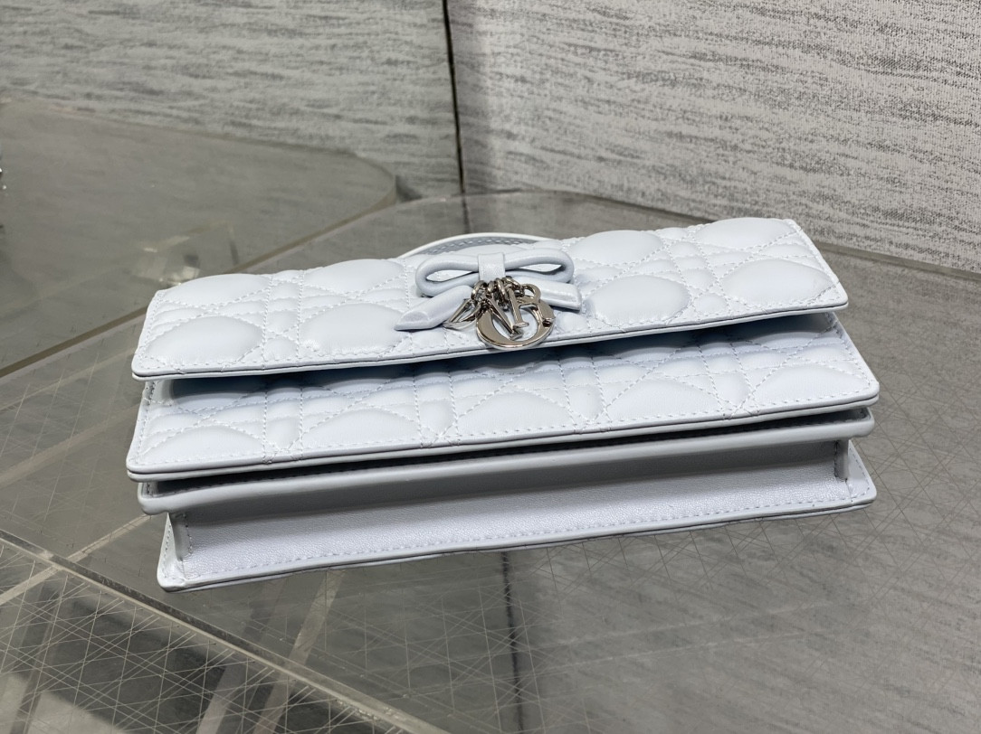 My Dior Mini Bag 21x11.5x4.5cm