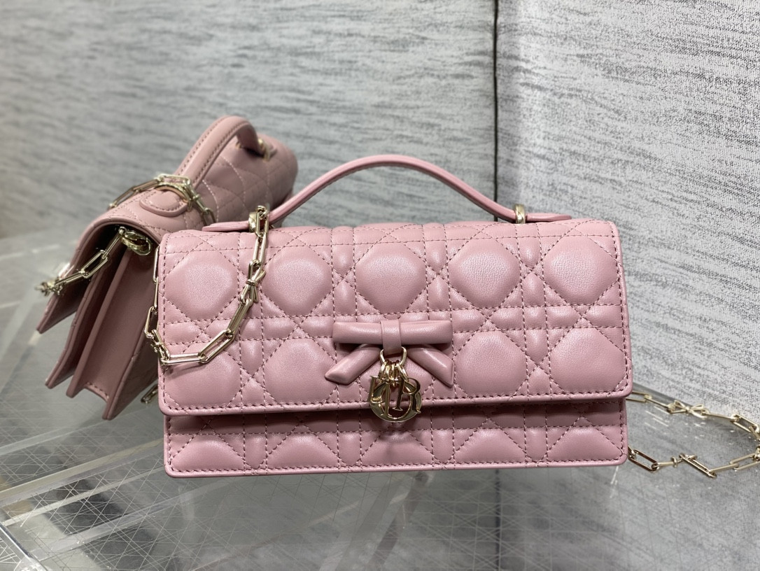 My Dior Mini Bag 21x11.5x4.5cm