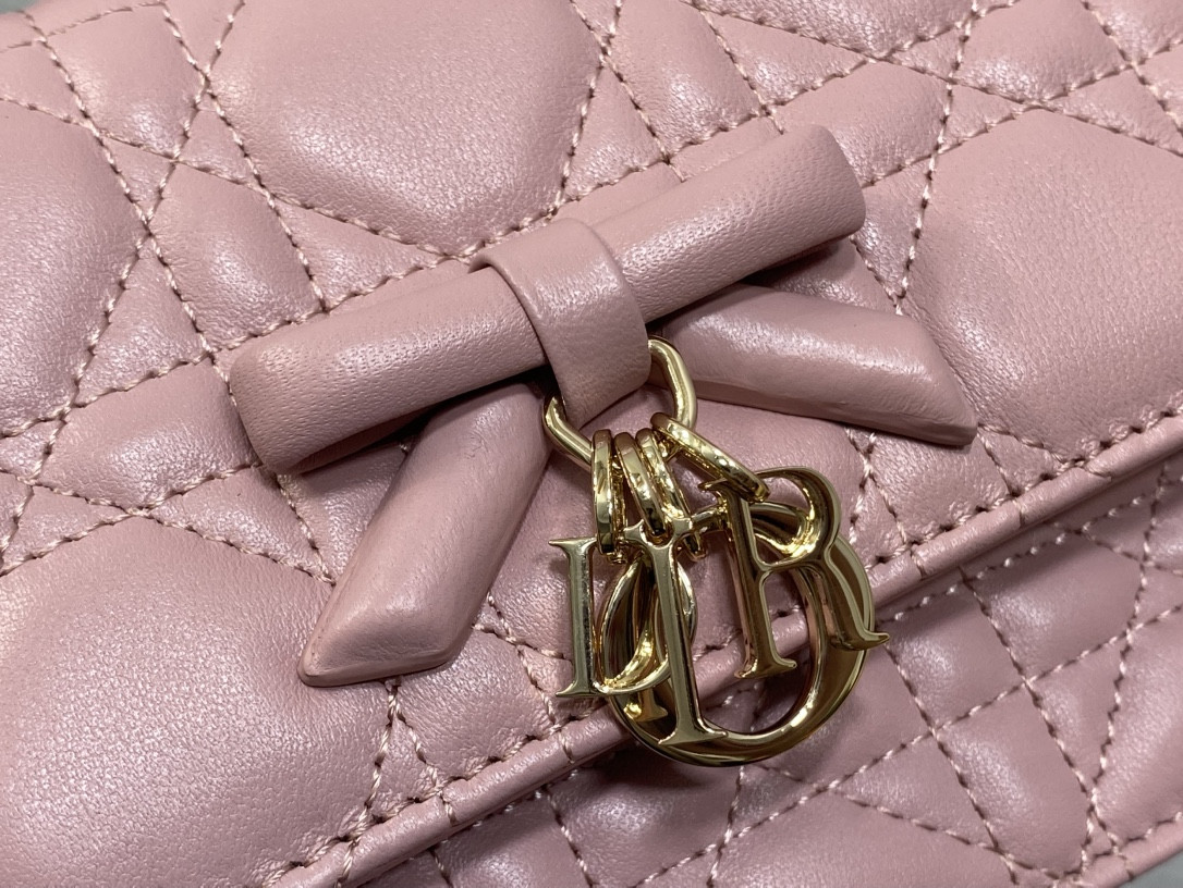 My Dior Mini Bag 21x11.5x4.5cm
