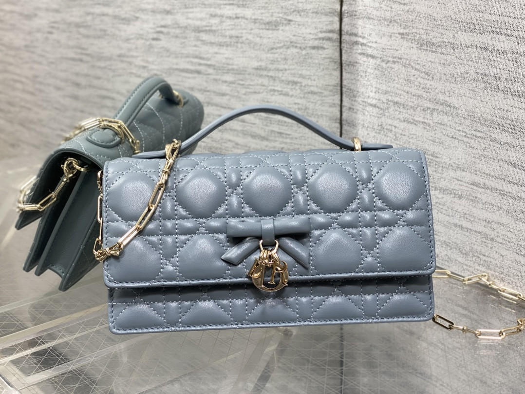 My Dior Mini Bag 21x11.5x4.5cm